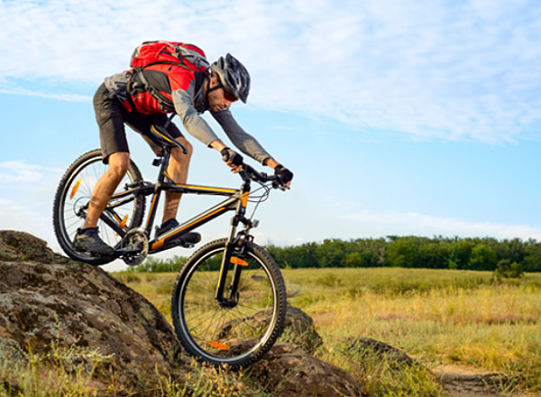 Fahrrad Richter - Mountainbikes